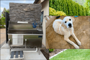 Outdoor Dog Washing Station by Forever Stainless Steel